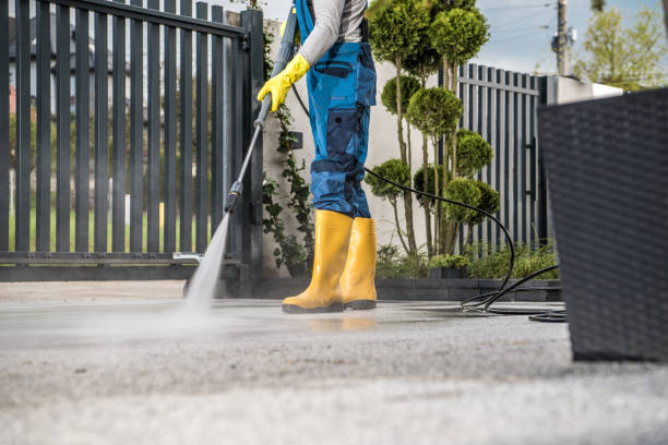 Best Fence Pressure Washing  in Bayard, NM