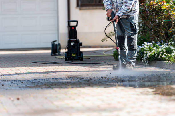 Best Roof Pressure Washing  in Bayard, NM