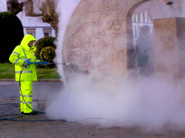 Best House Pressure Washing  in Bayard, NM